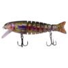 Swimming Fishing Bait (Special Gift for Holiday (Special Offer)