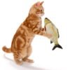 Vibrating Fish Toy