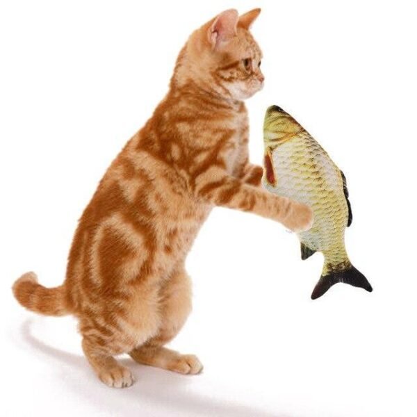 Vibrating Fish Toy