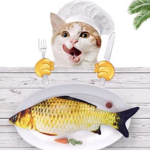 Vibrating Fish Toy