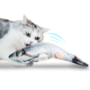 Vibrating Fish Toy
