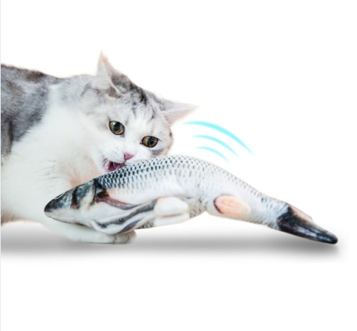 Vibrating Fish Toy
