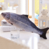 Vibrating Fish Toy