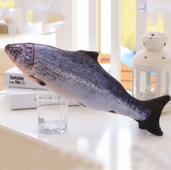 Vibrating Fish Toy